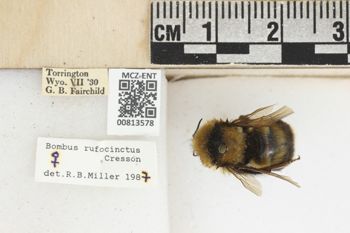 Media type: image;   Entomology 813578 Aspect: labels